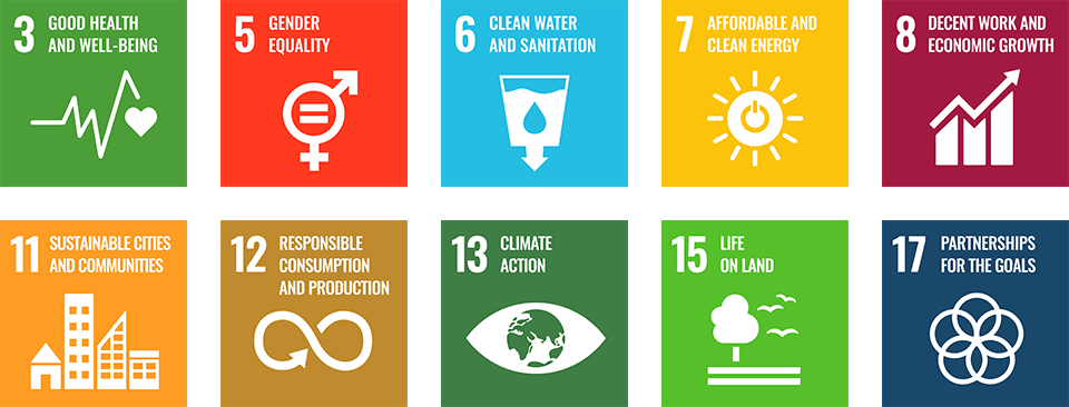 Sustainable Development Goals Elements